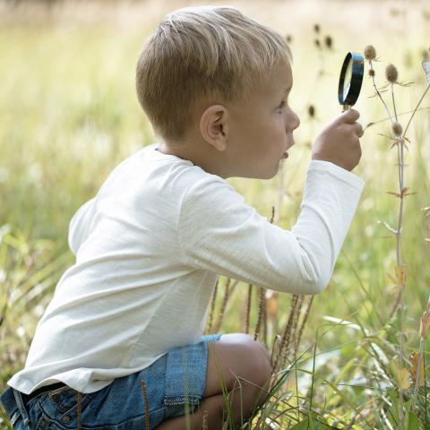 Kindergartenkind beobachtet Schmetterling im Kitagarten