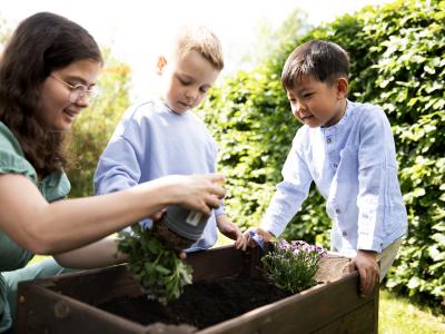 Erzieherin pflanzt mit Kindergartenkindern ein Beet an