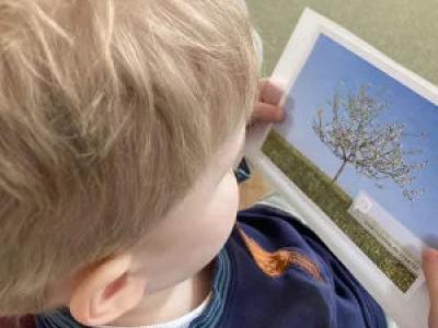 Kind schaut auf Foto mit blühendem Baum