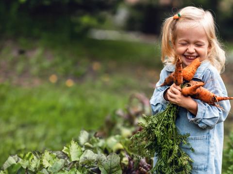 Kindergartenkind im Gemüsegarten der Kita