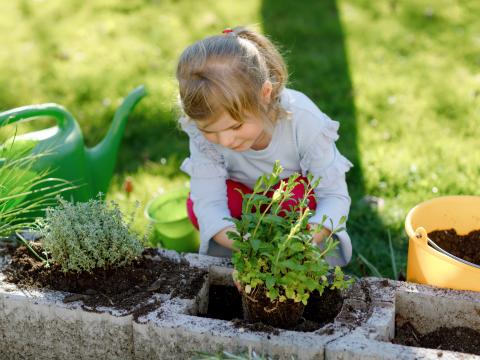 Kinder lernen in der Kita Gemüse im Garten anzupflanzen