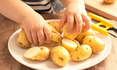 Kind erforscht Kartoffeln in der Kita 