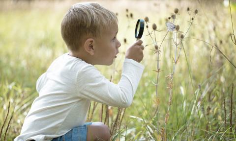 Kindergartenkind beobachtet Schmetterling im Kitagarten